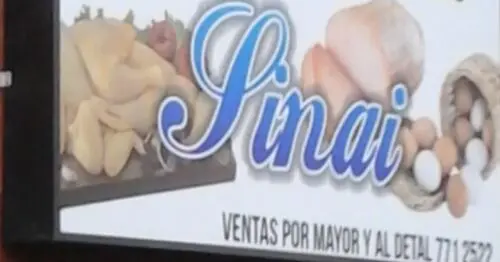DISTRIBUIDORA DE POLLOS Y HUEVOS BOGOTÁ DISTRIBUIDORA DE POLLOS Y HUEVOS BOGOTÁ